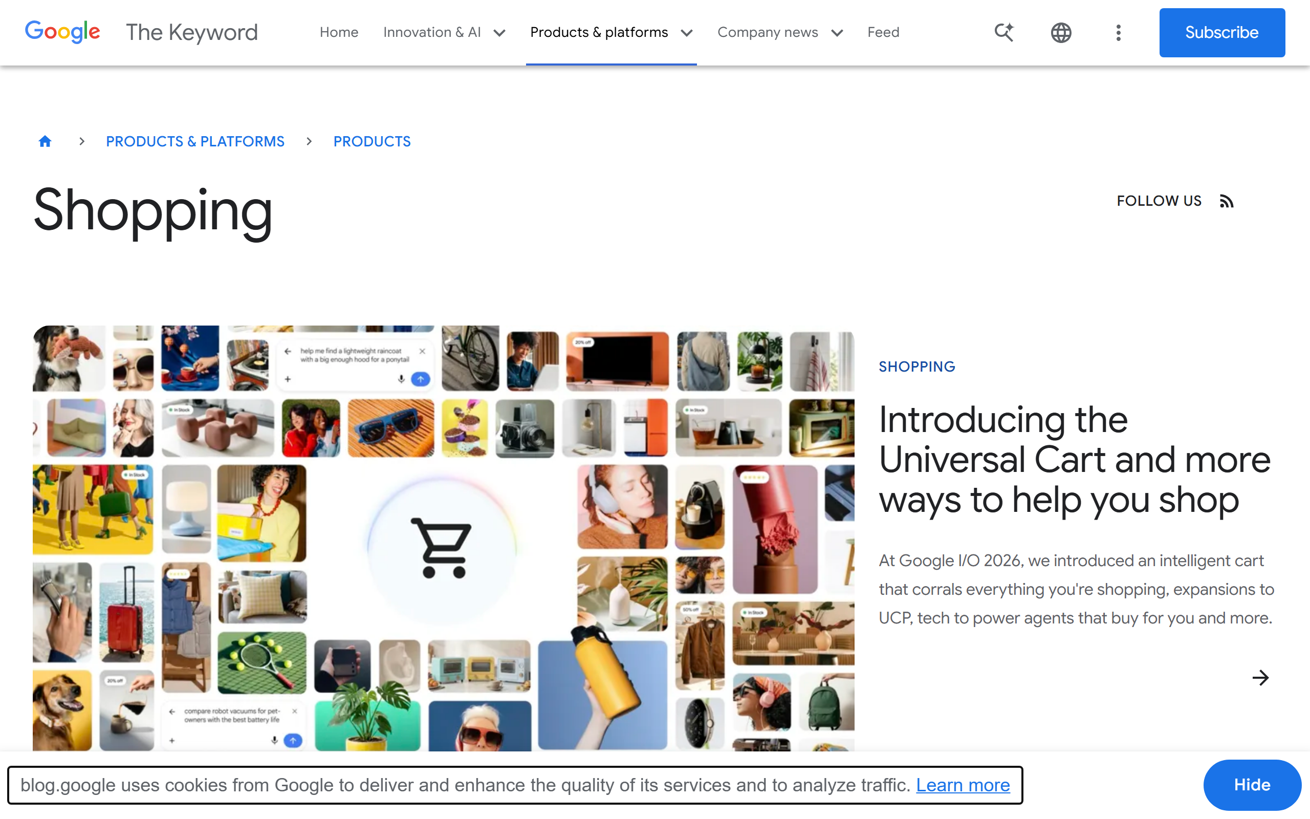 Google Shopping where Google's virtual try-on feature lives